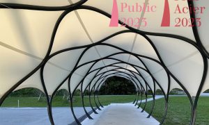 AXISVM_steel_pavilion_5 (1)